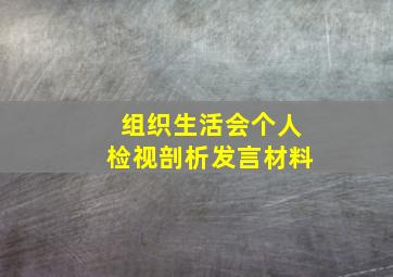 组织生活会个人检视剖析发言材料