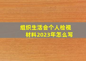 组织生活会个人检视材料2023年怎么写