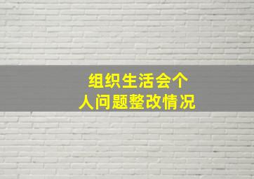 组织生活会个人问题整改情况