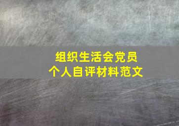 组织生活会党员个人自评材料范文