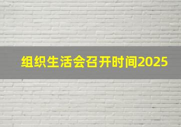 组织生活会召开时间2025