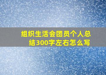 组织生活会团员个人总结300字左右怎么写