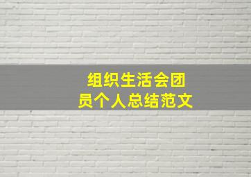 组织生活会团员个人总结范文