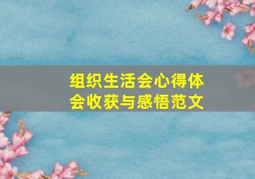 组织生活会心得体会收获与感悟范文