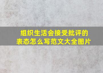 组织生活会接受批评的表态怎么写范文大全图片