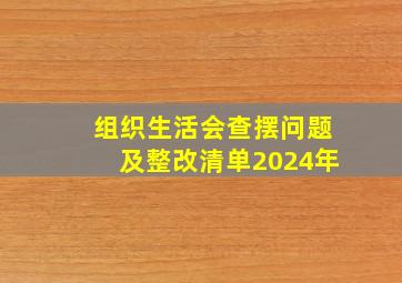 组织生活会查摆问题及整改清单2024年