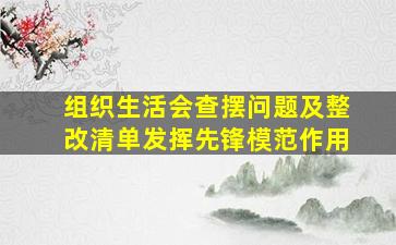 组织生活会查摆问题及整改清单发挥先锋模范作用