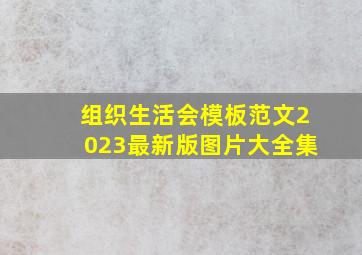 组织生活会模板范文2023最新版图片大全集