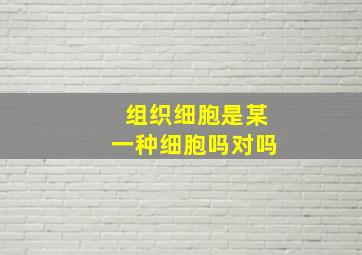 组织细胞是某一种细胞吗对吗