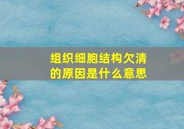 组织细胞结构欠清的原因是什么意思