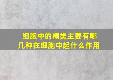 细胞中的糖类主要有哪几种在细胞中起什么作用