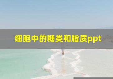 细胞中的糖类和脂质ppt