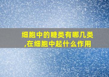 细胞中的糖类有哪几类,在细胞中起什么作用