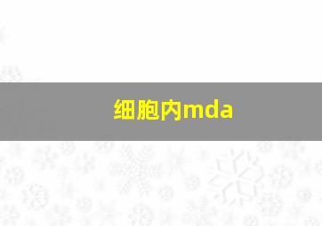 细胞内mda