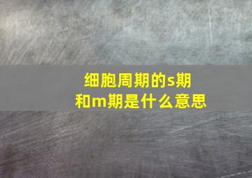 细胞周期的s期和m期是什么意思