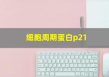 细胞周期蛋白p21