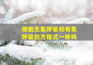 细胞无氧呼吸和有氧呼吸的方程式一样吗