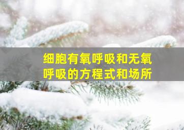 细胞有氧呼吸和无氧呼吸的方程式和场所