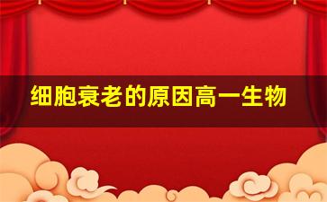 细胞衰老的原因高一生物