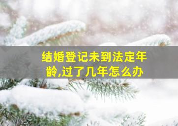 结婚登记未到法定年龄,过了几年怎么办