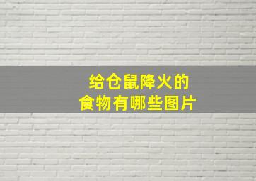 给仓鼠降火的食物有哪些图片