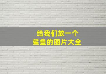 给我们放一个鲨鱼的图片大全