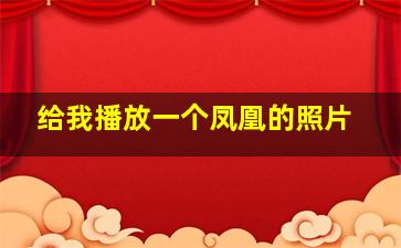 给我播放一个凤凰的照片