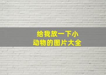 给我放一下小动物的图片大全