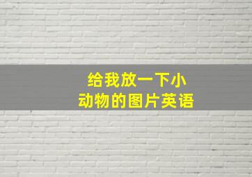 给我放一下小动物的图片英语