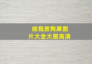 给我放狗屎图片大全大图高清