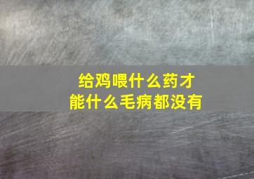 给鸡喂什么药才能什么毛病都没有