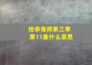 绝命毒师第三季第11集什么意思