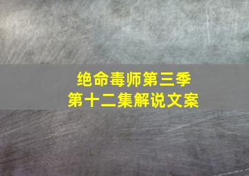 绝命毒师第三季第十二集解说文案