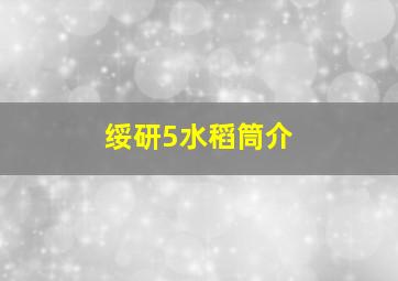 绥研5水稻筒介