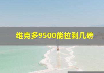 维克多9500能拉到几磅