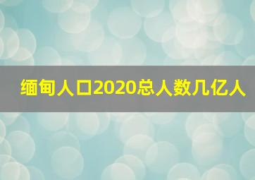 缅甸人口2020总人数几亿人