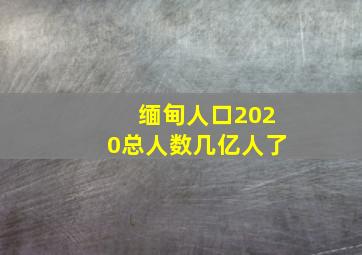 缅甸人口2020总人数几亿人了