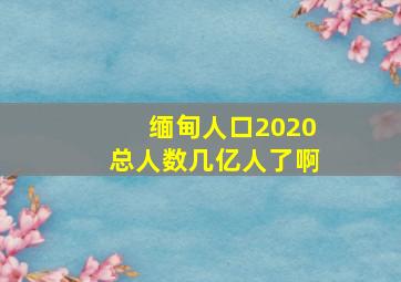 缅甸人口2020总人数几亿人了啊