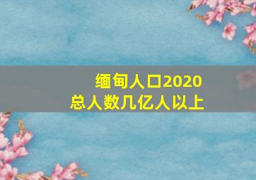 缅甸人口2020总人数几亿人以上