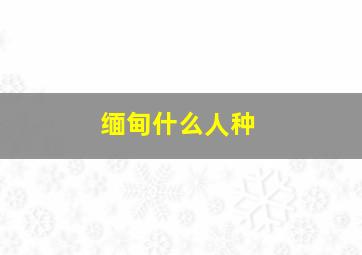 缅甸什么人种