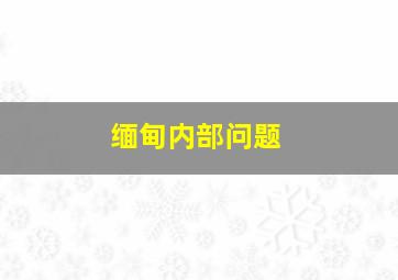 缅甸内部问题