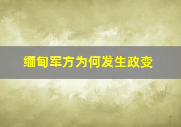 缅甸军方为何发生政变