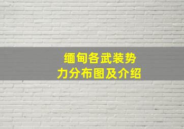 缅甸各武装势力分布图及介绍