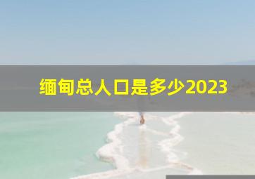 缅甸总人口是多少2023