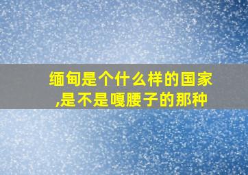 缅甸是个什么样的国家,是不是嘎腰子的那种