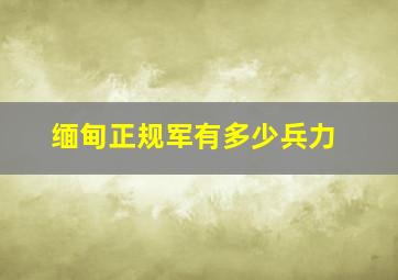 缅甸正规军有多少兵力