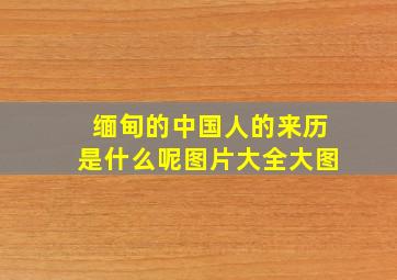 缅甸的中国人的来历是什么呢图片大全大图