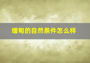 缅甸的自然条件怎么样