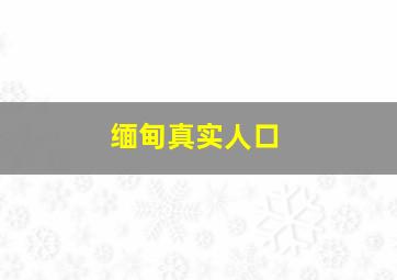 缅甸真实人口