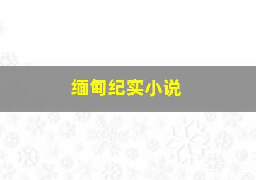 缅甸纪实小说